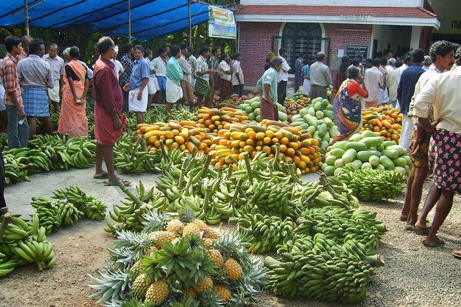 Kochi Overall for Group Tour - Inclusions and Exclusions