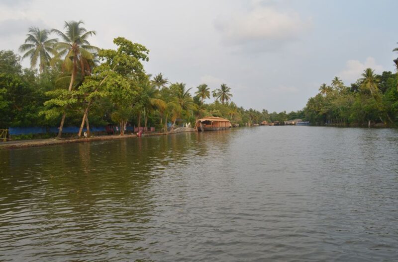 Kochi: Private Backwater Houseboat Day Cruise With Transfers - Key Points
