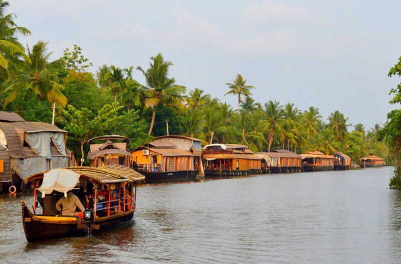 Kochi: Private Backwater Houseboat Day Cruise With Transfers - Itinerary and Transfers