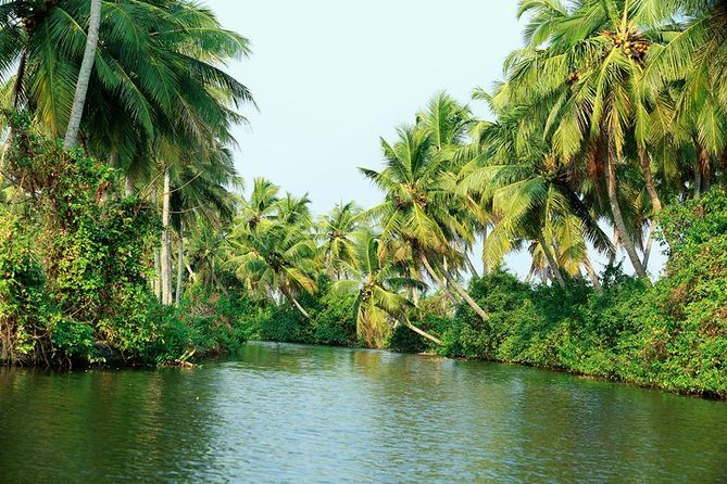 Kochi Private Guided Tour Review - Tour Format and Participation