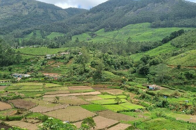 Kochi to Munnar Private Full Day Guided Tour With Hotel Pickup - The Experience in Detail