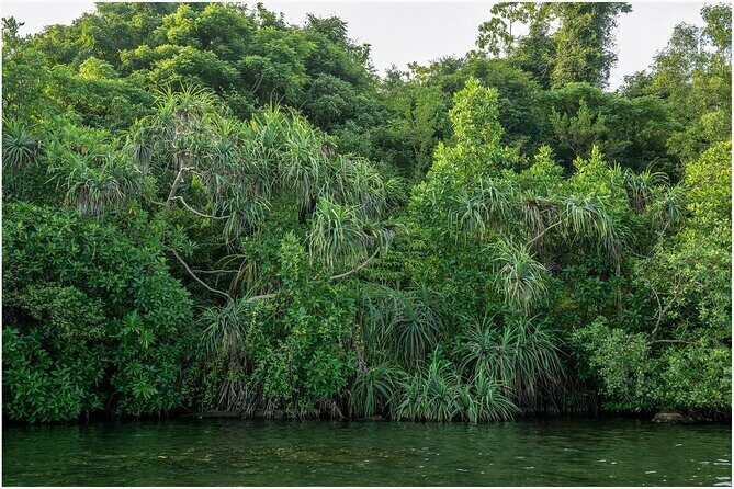 Koggala Lake Boat Safari with Malish - The Sum Up