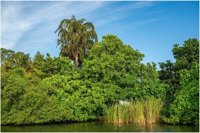 Koggala Lake Boat Safari with Malish - FAQs