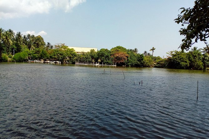 Koggala Lake Boat Tour - Avian Diversity