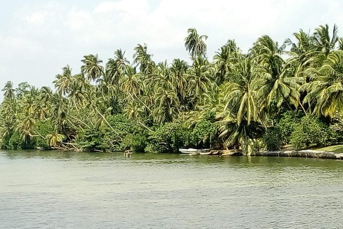 Koggala Lake Boat Tour - Wildlife Photography
