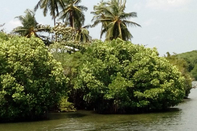 Koggala Lake Boat Tour - Itinerary Highlights