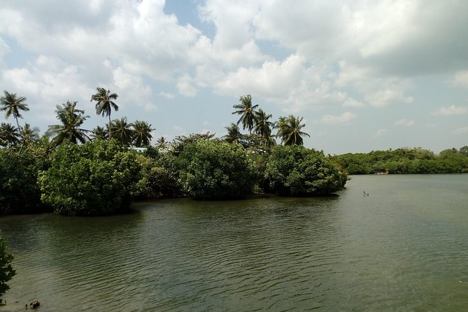 Koggala Lake Boat Tour - Pricing and Reviews