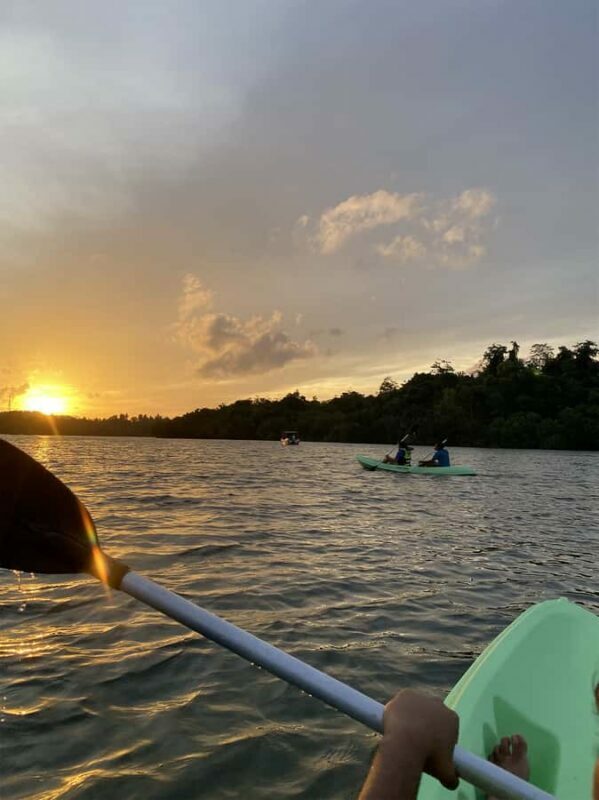 Koggala Lake Kayak Adventure with Malish - The Sum Up: Who Will Love This Tour?