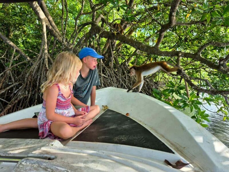 Koggala Lake Private Boat Tour with Dinesh - Why We Love the Koggala Lake Tour