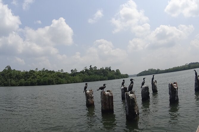 Koggala Lake Tour - Pricing and Cancellation