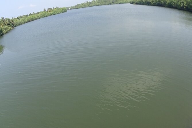 Koggala Lake Tour - Reviews