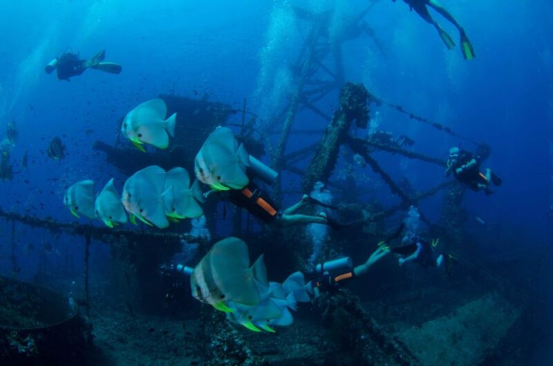 Koh Chang: 1-Day Diving Trip - Equipment and Instruction