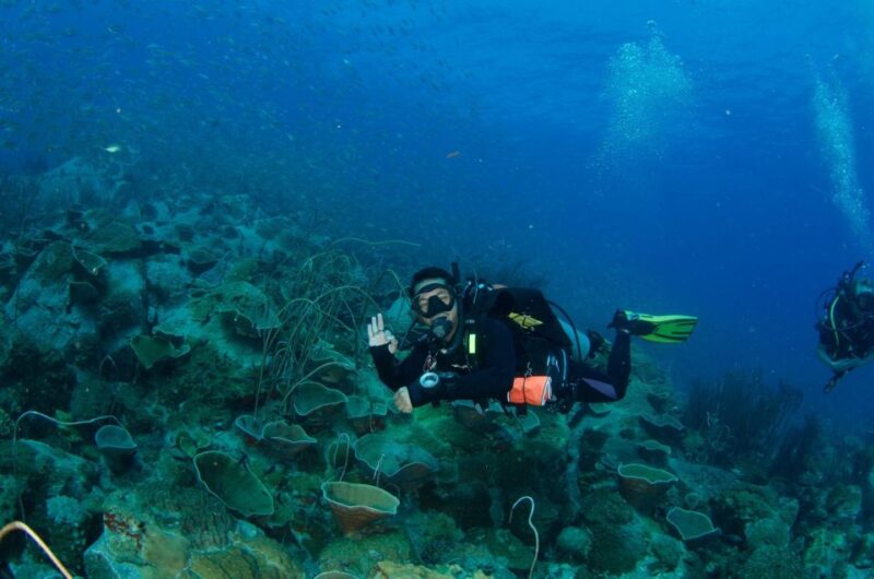 Koh Chang: 3-Day PADI Open Water Scuba Dive Course - Training Structure