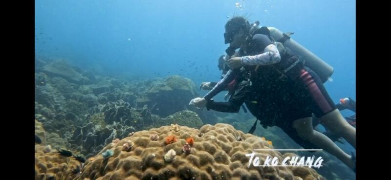 Koh Chang: 3-Day PADI Open Water Scuba Diver Course - Key Points
