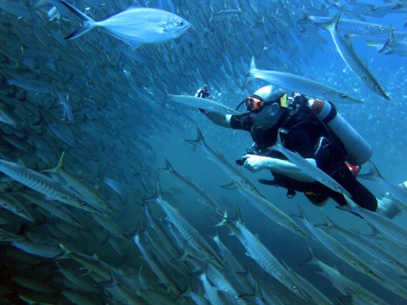 Koh Chang: Discover Scuba Diving for Beginners With 2 Dives - Participant Requirements and Information
