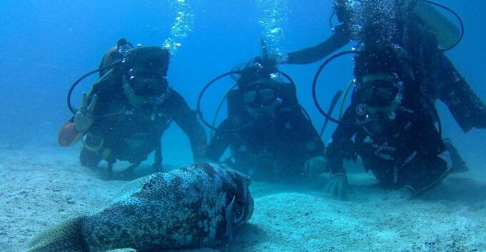 Koh Chang: Discover Scuba Diving for Beginners With 2 Dives - Convenient Hotel Pickup and Boat Departure