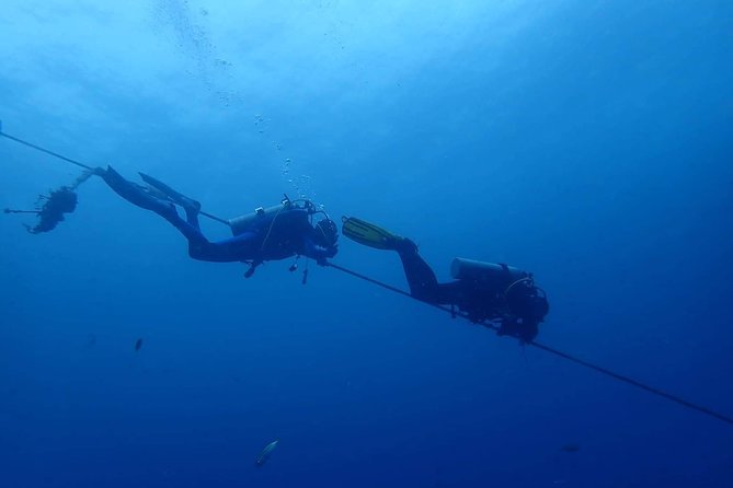 Koh Chang Dive Trip Including 3 Dives (Start at Koh Chang) - Dive Highlights