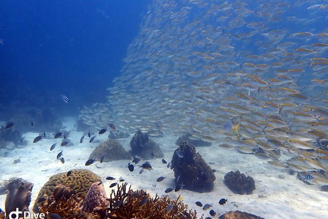 Koh Chang Dive Trip Including 3 Dives (Start at Koh Chang) - Included Amenities