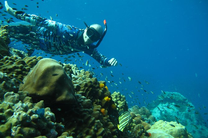 Koh Chang Freedive Trip ( Start at Koh Chang) - Dietary Requirements and Accessibility