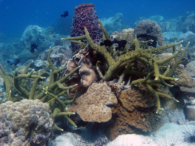 Koh Chang: Half-Day Snorkeling Adventure on a Speedboat - Restroom Facilities