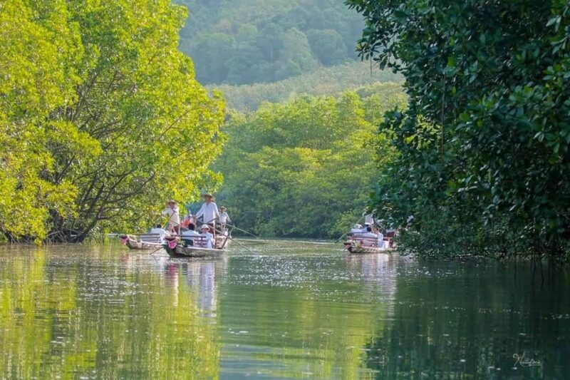 Koh Chang: Mangrove Forest Gondola Tour - Important Information and Requirements