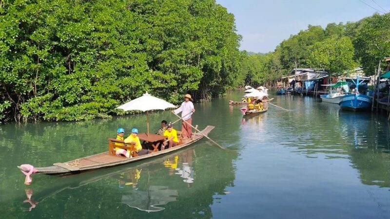 Koh Chang: Mangrove Forest Gondola Tour - Restrictions and Requirements