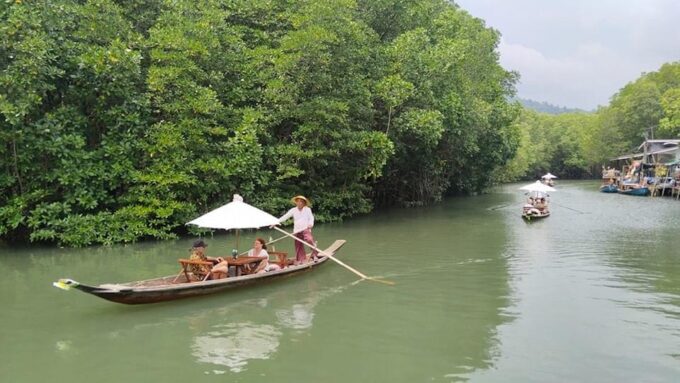 Koh Chang: Mangrove Forest Gondola Tour - Exploring the Mangrove Forest