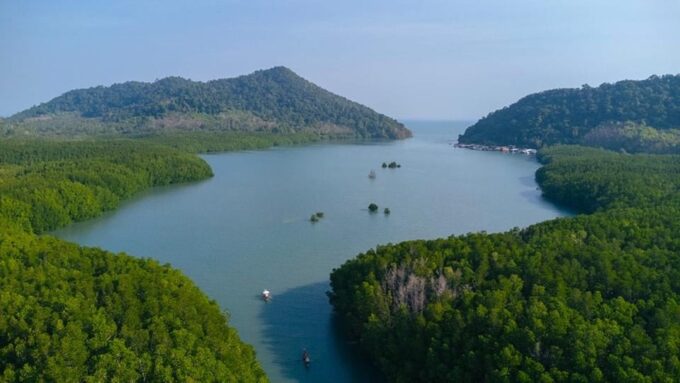 Koh Chang: Mangrove Forest Gondola Tour - Frequently Asked Questions