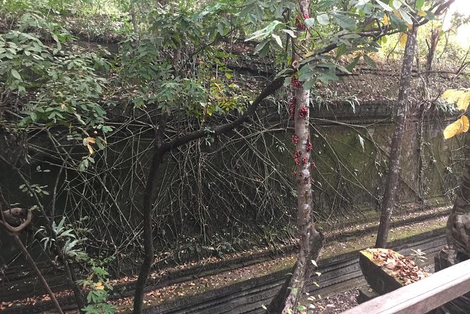 Koh Ker and Beng Mealea Full Day Exploration by Jion-In Tour - Booking and Cancellation
