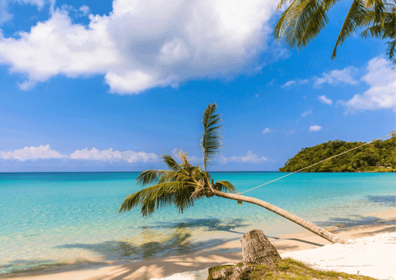 Koh Kood: Bus and Catamaran Transfer From Bangkok - Booking and Cancellation Policy