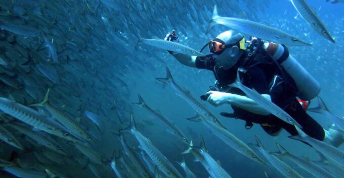 Koh Kood: Discover Scuba Diving for Beginners With 2 Dives - Pricing and Cancellation Policy