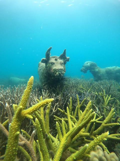 Koh Kood or Koh Rang: Snorkeling Trip With Lunch & Transfer - Key Points