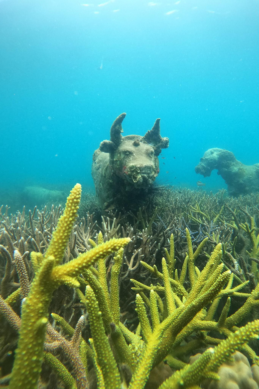 Koh Kood or Koh Rang: Snorkeling Trip With Lunch & Transfer - Highlights of the Excursion
