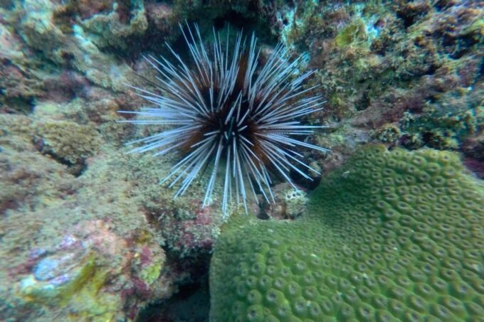 Koh Lanta: 4-Island Adventure Tour to Emerald Cave - Tour Booking and Cancellation