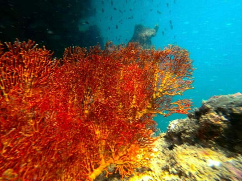Koh Lanta: 4 Islands and Emerald Cave Snorkeling Trip - FAQ