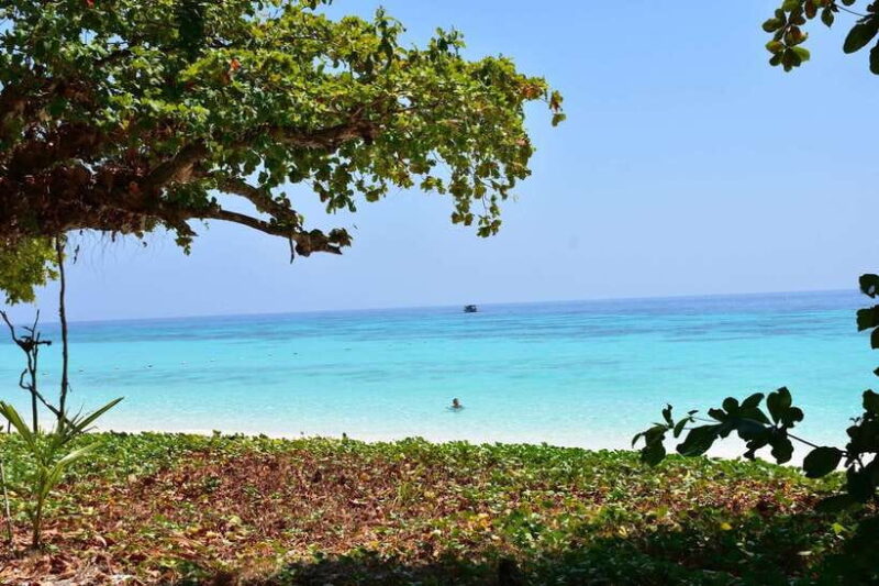 Koh Lanta: Adventure Sea Tour to Koh Rok and Koh Haa - Itinerary and Activities