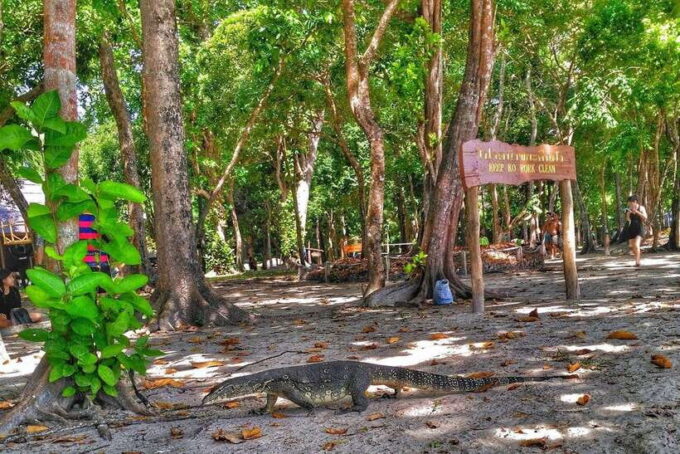 Koh Lanta: Adventure Sea Tour to Koh Rok and Koh Haa - Safety Measures and Equipment