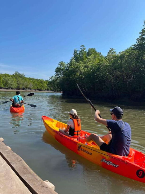 Koh Lanta: Amazon Mangrove Kayaking Tour With Lunch - Key Points