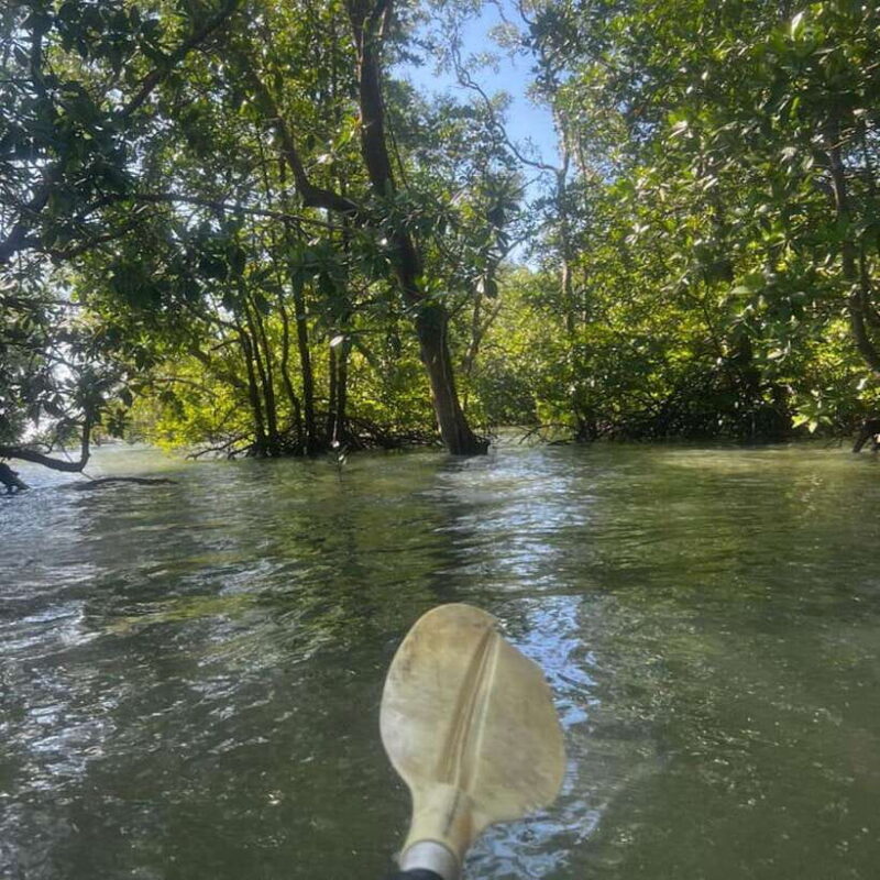 Koh Lanta: Amazon Mangrove Kayaking Tour With Lunch - Itinerary