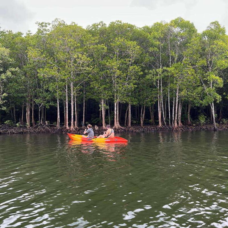 Koh Lanta: Amazon Mangrove Kayaking Tour With Lunch - Highlights