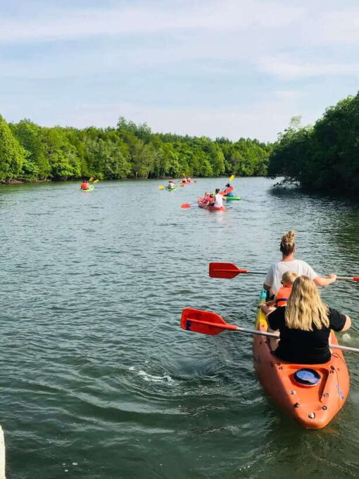 Koh Lanta: Amazon Mangrove Kayaking Tour With Lunch - Activity Details