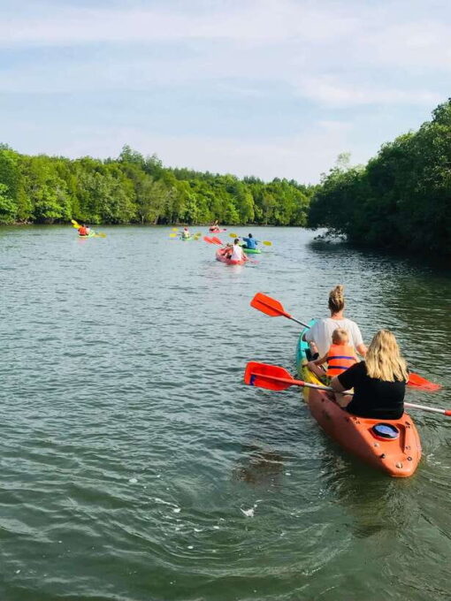 Koh Lanta: Amazon Mangrove Kayaking Tour With Lunch - Frequently Asked Questions