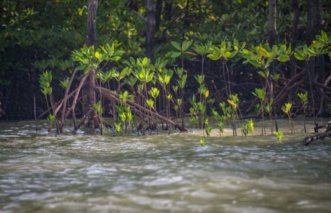 Koh Lanta: Half-Day Sea Cave Kayaking Talabeng - Frequently Asked Questions