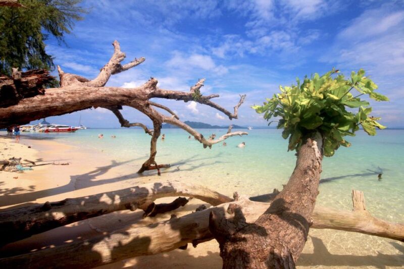 Koh Lanta: Koh Kradan & 4 Islands Speedboat Tour W/ Snorkel - Inclusions and Exclusions