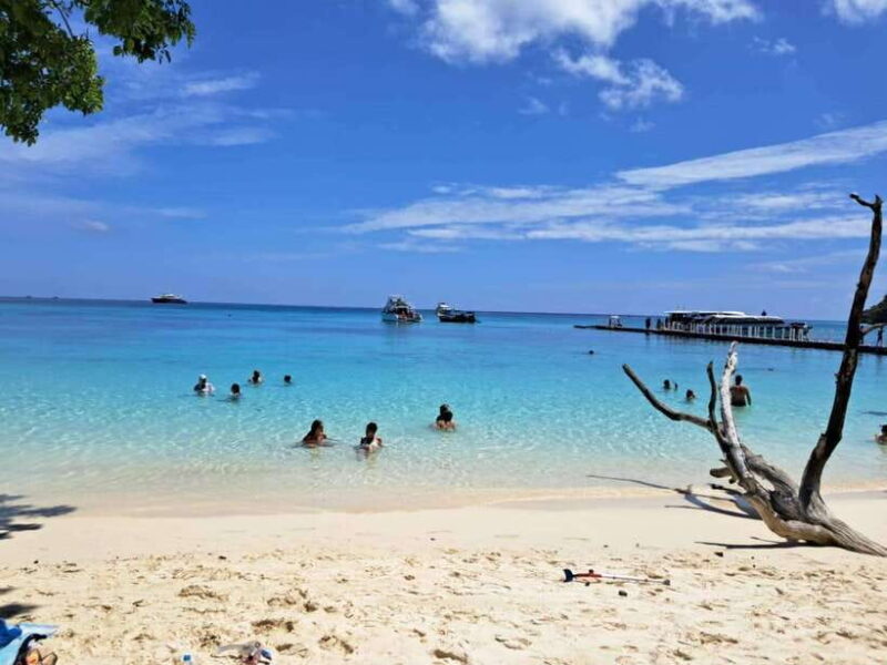 Koh Lanta: Koh Rok and Koh Haa Snorkeling Adventure - Key Points