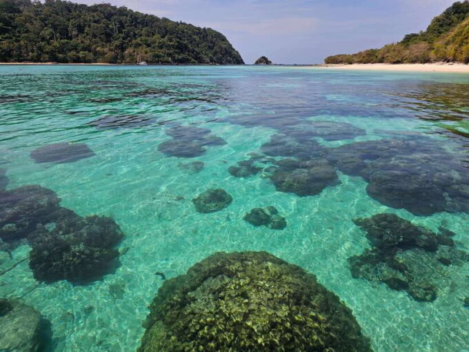 Koh Lanta: Koh Rok and Koh Haa Snorkeling Adventure - Exploring the Diverse Marine Life at Koh Haa