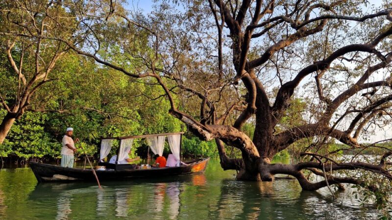 Koh Lanta: Magical Mangroves Sunrise by Private Gondola Boat - Customer Reviews