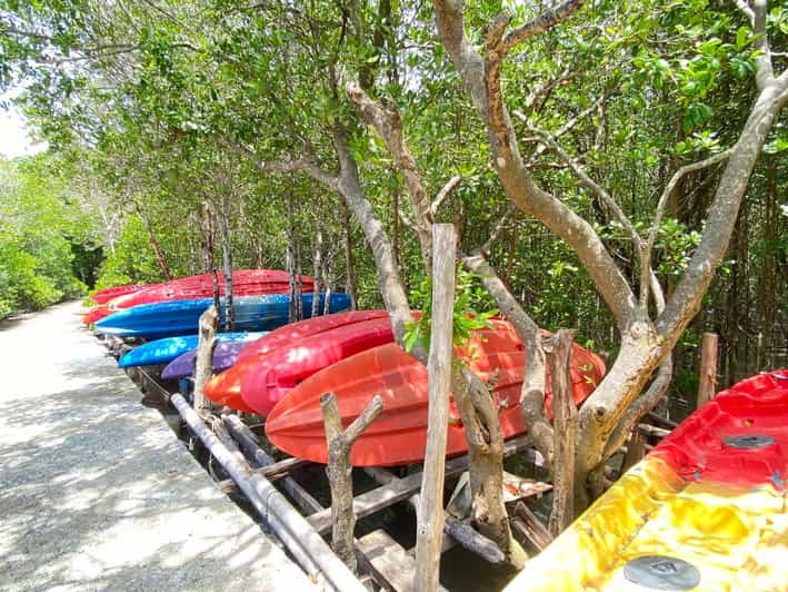 Koh Lanta: Mangrove + Elephant Camp Half Day Tour - Wildlife Observation