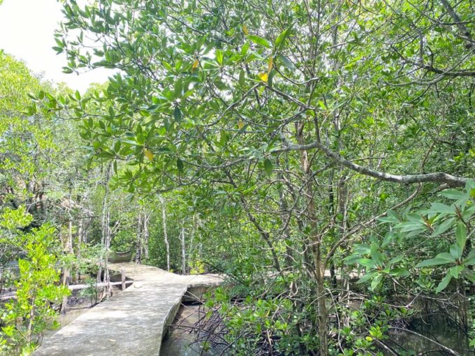 Koh Lanta: Mangrove + Elephant Camp Half Day Tour - Frequently Asked Questions