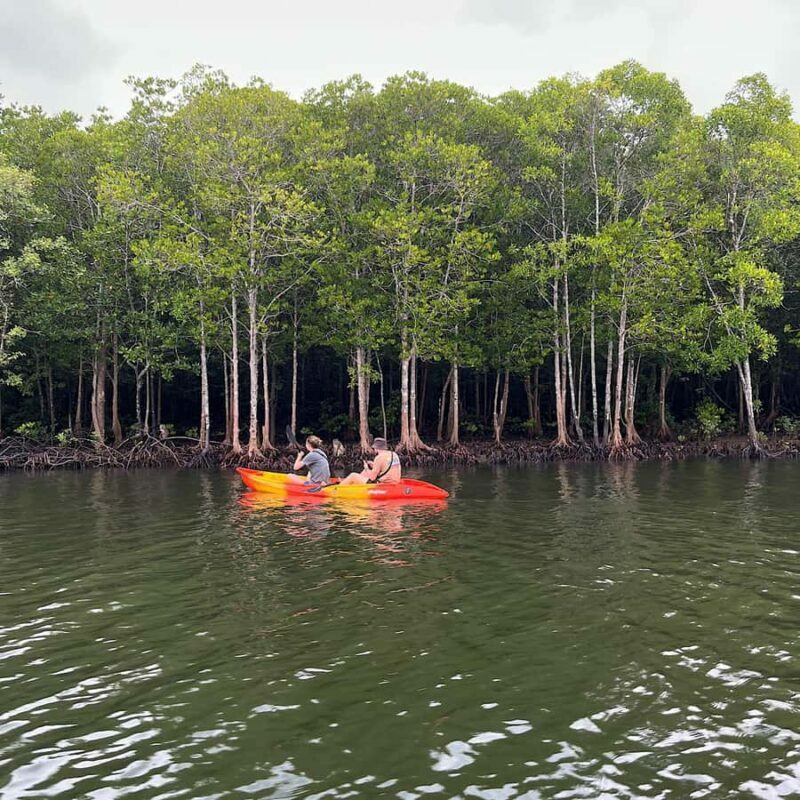Koh Lanta: Mangrove Kayaking Tour with Hotel Pickup & Lunch - Why You’ll Love the Koh Lanta Mangrove Kayaking Tour